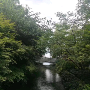 冰雨vlog头像