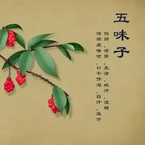 倪师说中医头像