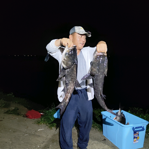 浮钓鲢鳙小钢炮头像
