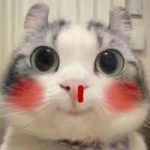 醉看name人生头像