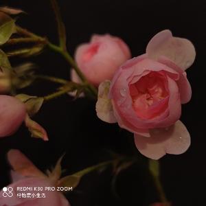 杩怡宸小生活头像