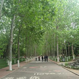 杂娱头像