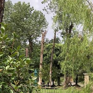 远见卓识河流wEP2Y头像