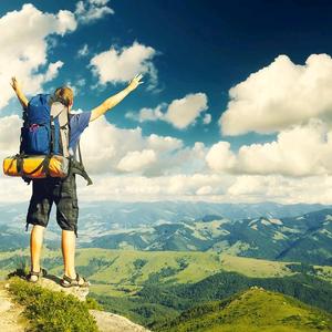 流浪陈陈陈头像