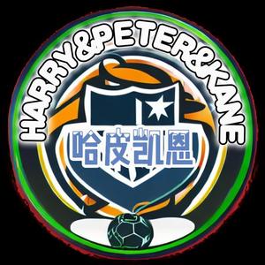 哈皮凯恩头像