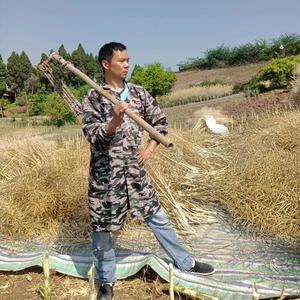 农人杨二娃头像