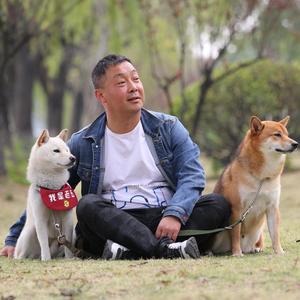训犬师涛哥振涛宠物头像
