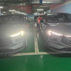春歌探选臻品头像