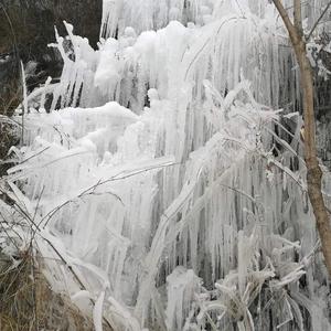 山沟人家头像