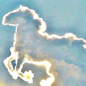 马家军东营头像