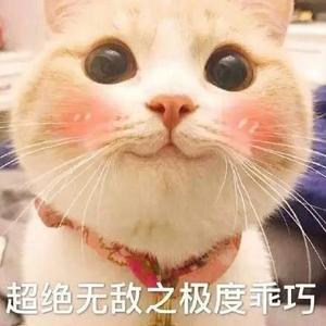 有猫的喵小姐头像