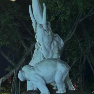 林思凯院长头像