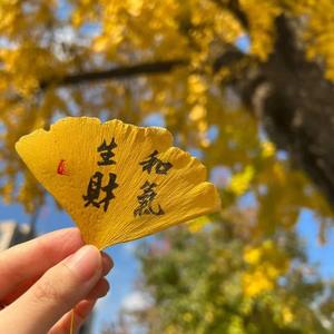 漂泊北辙南辕头像