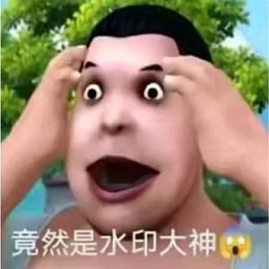 张某人zss头像