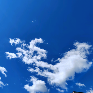 闽厦·沐芊屿头像