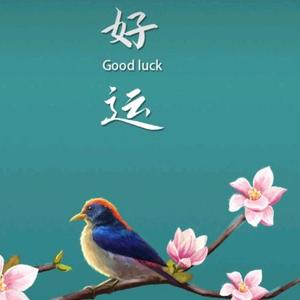 宽屏蒲公英 头像