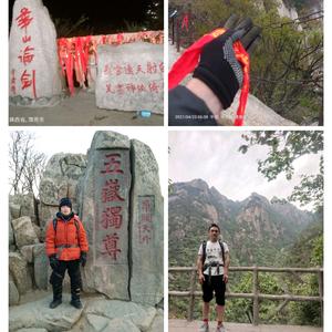 东子旅游中国头像