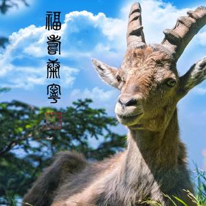 洋溥头像