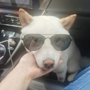 我和我的姨妈妈头像