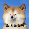 食玩七日谈头像