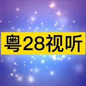 粤28视听头像