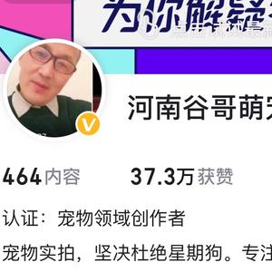 谷哥犬舍头像