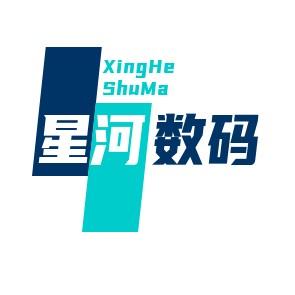 乐山星河数码头像