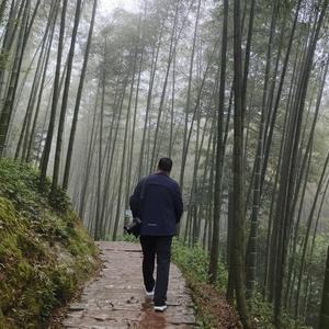 老赵退休生活记头像