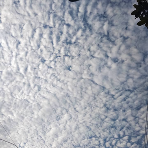 恋木Q头像