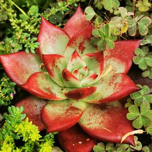 装修与设计的故事 头像