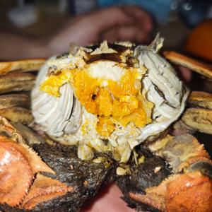 小崔大闸蟹头像