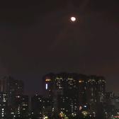 老土怪mm头像