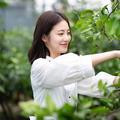 芒果和韩剧头像