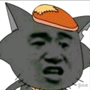 找我儿子的灰太狼头像
