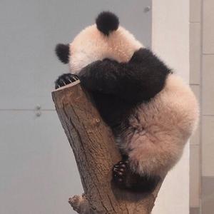 游者日志i 头像