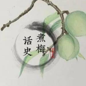 煮梅话史头像