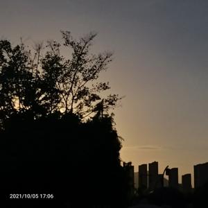 美丽的景色会消失头像