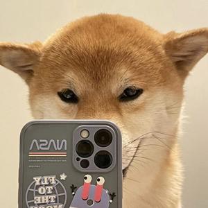 wookka头像