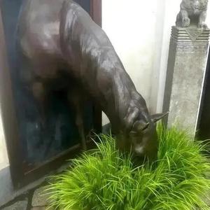 恭喜发财头像