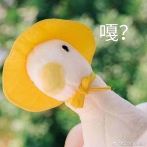 晓晓百味世头像