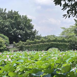 小汝de号头像