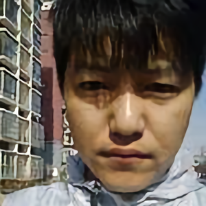 迷途的小耗子头像
