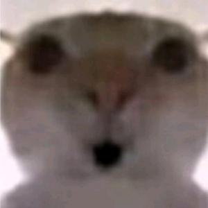 鼠鼠人头像