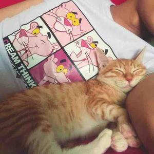 拐索视频关注更精彩头像