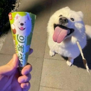 许欣头像
