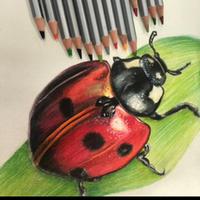 视野安德里亚7S0头像