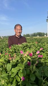 新野县龙潭尧宝黄酒有限公司头像