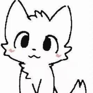 猫猫Kaiti 头像