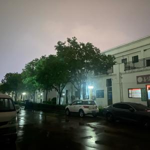 南山葛成莉纱窗头像