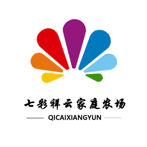 CBanker头像
